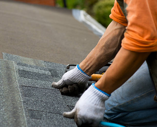 Best Residential Roof Replacement  in Paddock Lake, WI