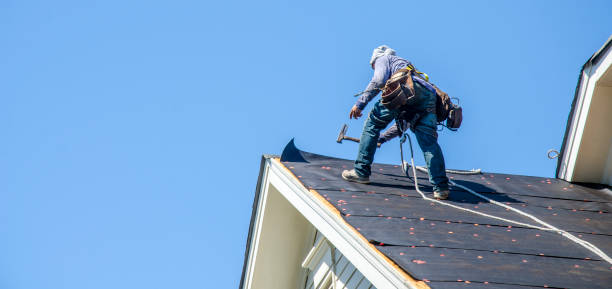 Best Metal Roofing Contractor  in Paddock Lake, WI